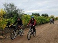 The perfect day discovering vineyards, wines and regional gastronomy by bicycle