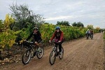 The perfect day discovering vineyards, wines and regional gastronomy by bicycle