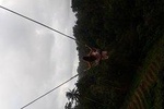 Temple and Swing Experience