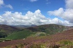 Wicklow Scenic and Musical History Coach Tour