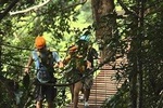Flying Hanuman Zipline with Private Transfer 