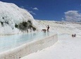 Ancient City of Ephesus and Breathtaking Pamukkale Private Tour