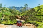 Trip to Ceylon with Kandy City Tour 