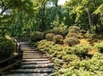 Full-Day Private Guided Tour in Kyoto, Arashiyama: Temple and Nature
