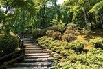 Full-Day Private Guided Tour in Kyoto, Arashiyama: Temple and Nature