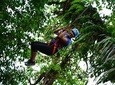 Canopy & Tarzan Swing In The Base of The Arenal Volcano