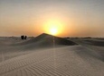 Sunrise Desert Safari