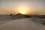 Sunrise Desert Safari