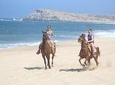 Cabo white sand horseback adventure