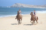 Cabo white sand horseback adventure
