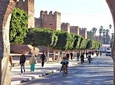 Taroudant and Tiout the mini Marrakech 