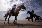 Horse Riding Agadir