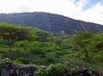 Eco Walk: The Royal Road To Cabrera
