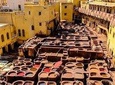 Half Day Tour in Fez Medina (private tour guide)