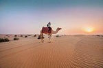 Sun Rise Desesrt Safari with Camel Ride by 4x4 Land Cruiser 
