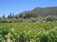 Private Tour from Kusadasi to Ephesus and Kirazli Village