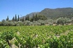 Private Tour from Kusadasi to Ephesus and Kirazli Village