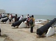 Historical Tour to Cape Coast - Day Tour