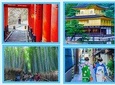 SnapKyoto's Cycle Photo Shoot and Tour (Kyoto's hidden gems)