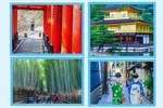 SnapKyoto's Cycle Photo Shoot and Tour (Kyoto's hidden gems)