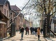 Auschwitz-Birkenau guided tour - with hotel pickup 