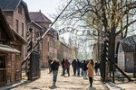 Auschwitz-Birkenau guided tour - with hotel pickup 
