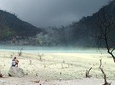 Kawah Putih tour - Day trip Ticket etc all including 