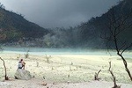 Kawah Putih tour - Day trip Ticket etc all including 