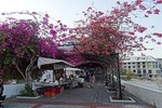 Panama city tours