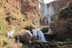 Ouzoud Waterfalls Private Day Trip from Marrakech