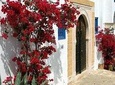 The best of Sidi Bou Said Walking Tour 