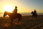 Cabo Desert ATV & Beach Horseback Combo 