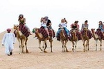 Camel Trekking and Morning Safari with Sand Boarding