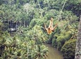Jungle Swing Ubud Tour with Tegenungan Waterfall
