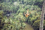 Jungle Swing Ubud Tour with Tegenungan Waterfall