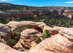 See Cedar Tree Arch (Rainbow Arch), Rattlesnake Canyon, Colorado