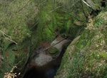 Explore Devil's Pulpit in Finnich Glen, Scotland