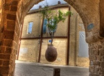 See The Suspended Orange Tree, Tel Aviv, Israel