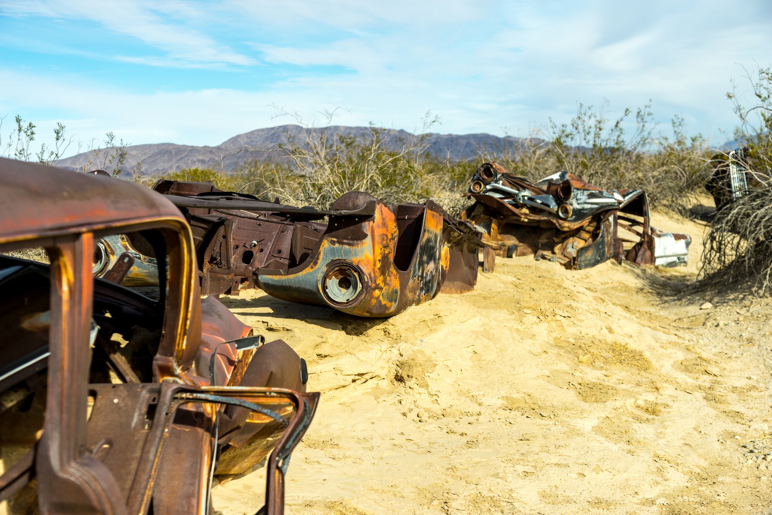 The Joshua Tree Car Wash