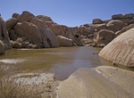 Hike to Grand Tank, Joshua Tree National Park, California