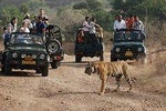 5 Days Private Delhi Agra Ranthambore Jaipur Delhi Tour (Taj Mahal at Sunrise)