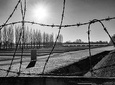 Dachau Concentration Camp Private Tour