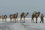 15 Days Afar Danakil Depression