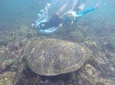 7-days Galapagos Multi Sport Tour