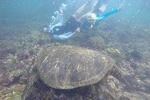 7-days Galapagos Multi Sport Tour