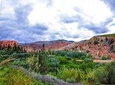 Half-Day Small-Group Tour from Marrakech to the Atlas mountains