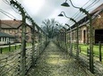 Regular Tour to Auschwitz & Birkenau from Katowice