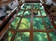 Glass Bottom Boat Excursion in Sharm El Sheikh