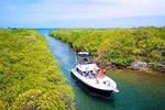 Roatan Private Northshore Snorkeling & Discover the Punta Gorda Village - 15 Pax