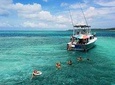 Roatan Northshore Snorkeling & Discover the Punta Gorda Village